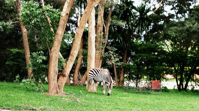 Posada Dream Valley Park & Lodge