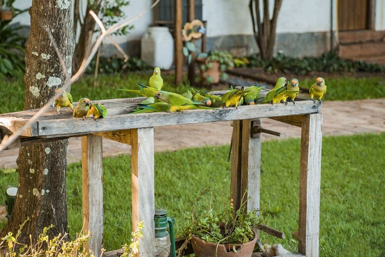 Posada Pousada Gira Sol