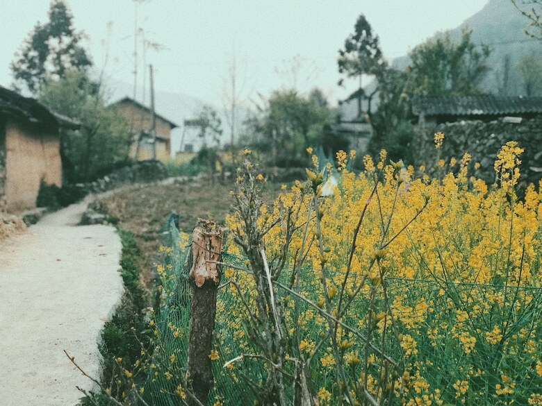 Hostal Homie Homestay - Hostel