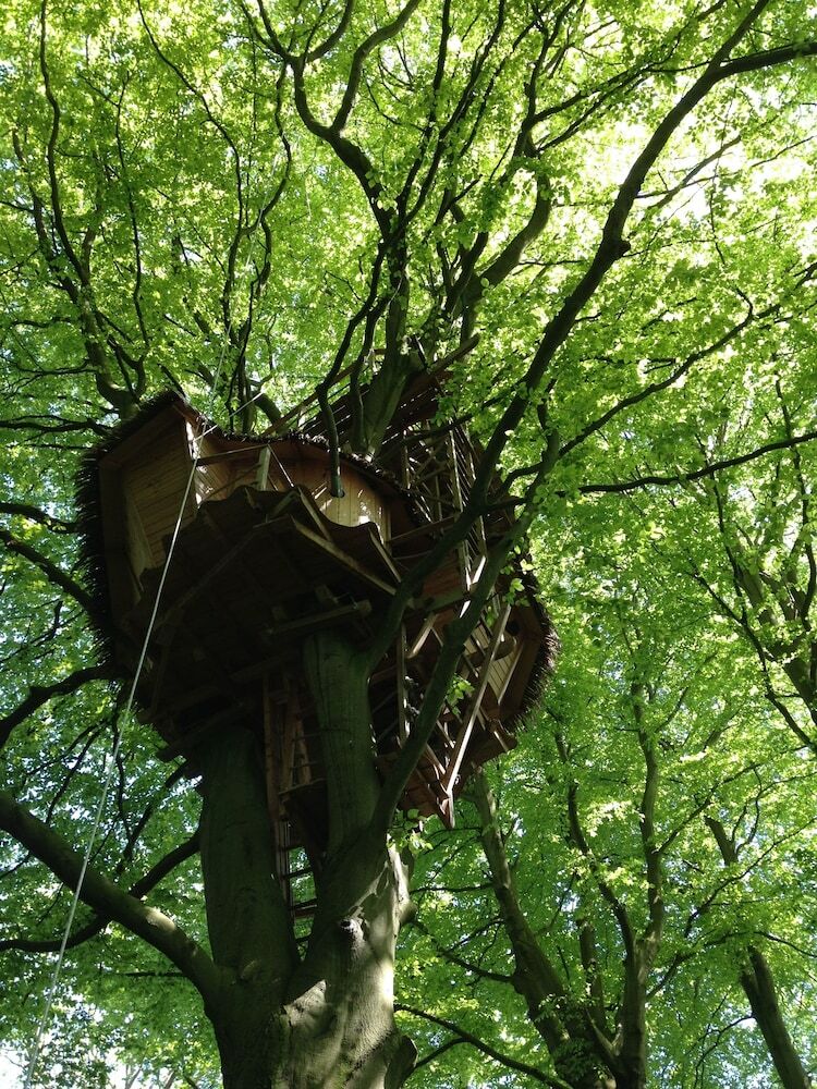 Les Cabanes de La Chauss�e