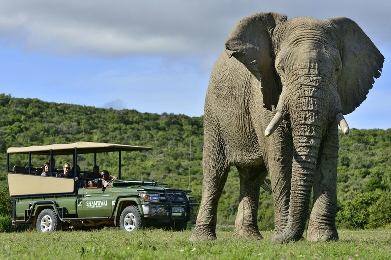 Posada Shamwari Riverdene - All Inclusive