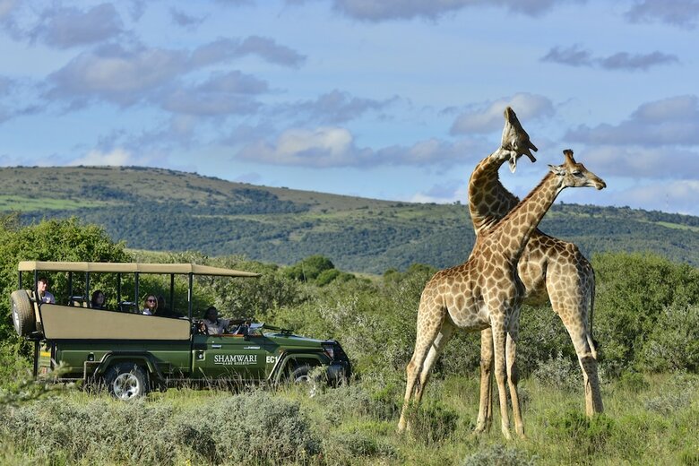 Posada Shamwari Bayethe - All Inclusive