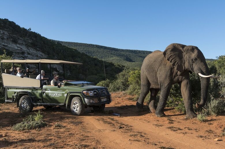 Posada Shamwari Eagles Crag - All Inclusive