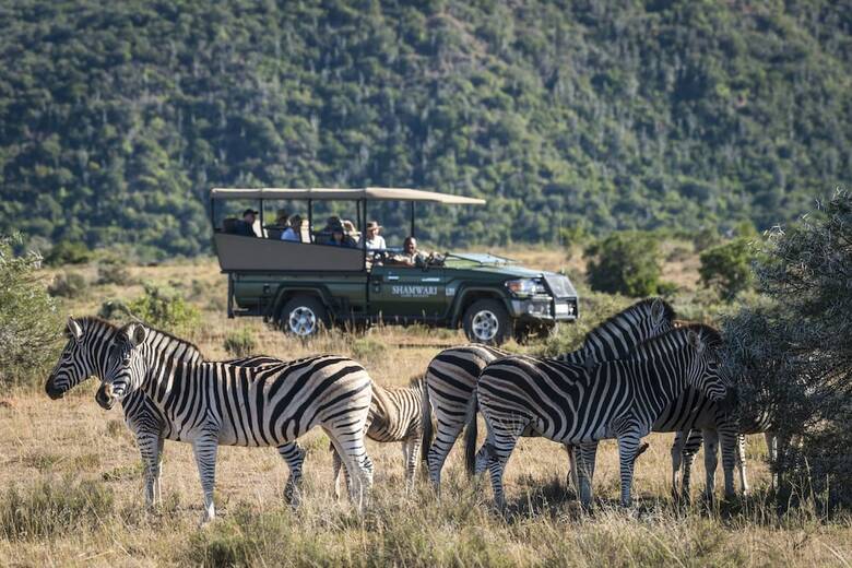 Posada Shamwari Eagles Crag - All Inclusive