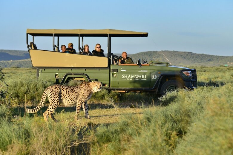 Posada Shamwari Eagles Crag - All Inclusive