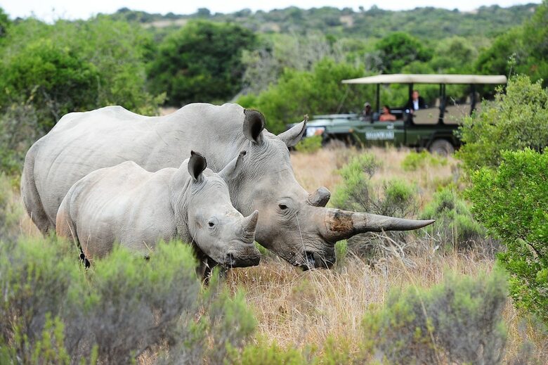 Posada Shamwari Eagles Crag - All Inclusive