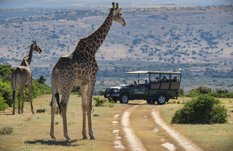 Posada Shamwari Eagles Crag - All Inclusive