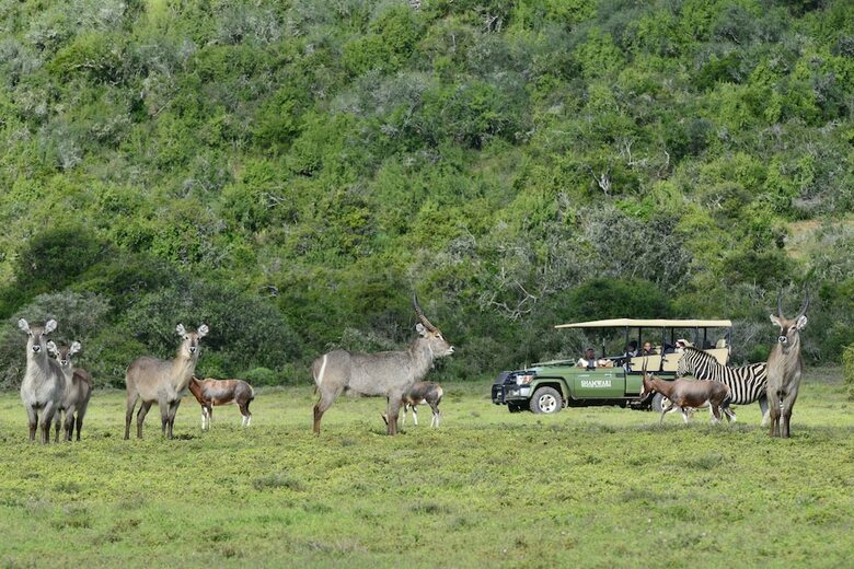 Posada Shamwari Eagles Crag - All Inclusive