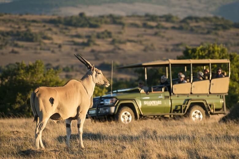 Posada Shamwari Sarili - All Inclusive