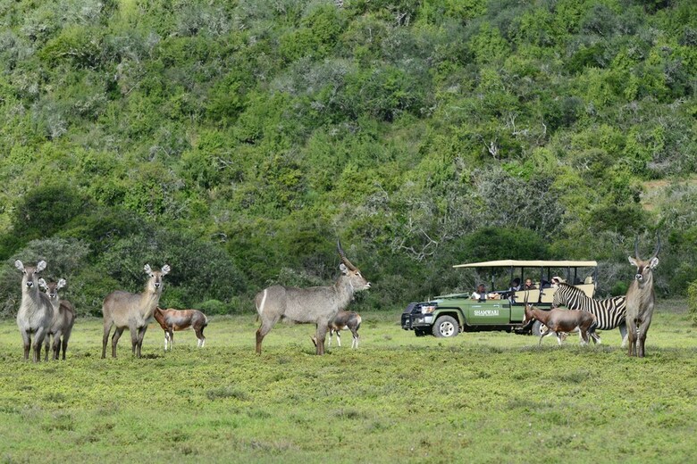 Posada Shamwari Sarili - All Inclusive