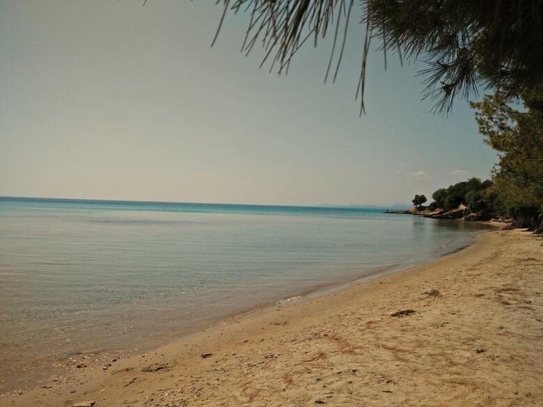 Apartamentos Moriel Seaside Homes Suites