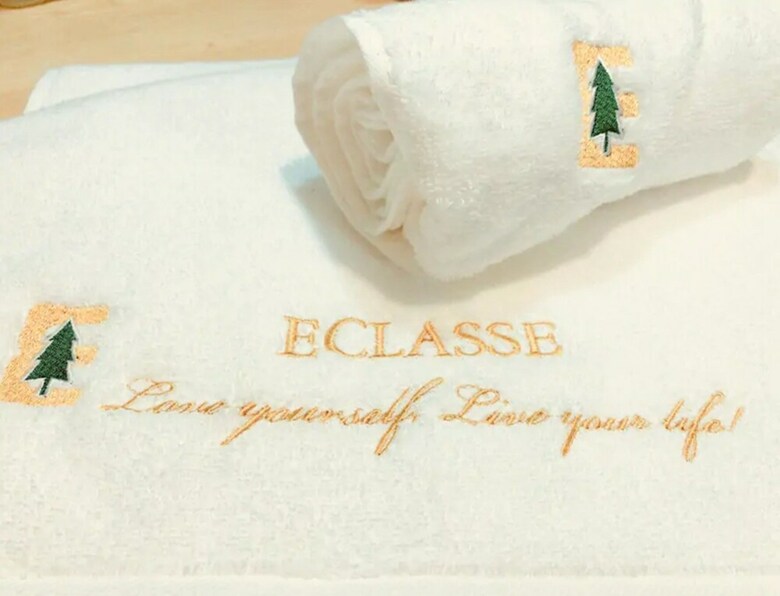 Hotel Eclasse Gangnam - Hostel
