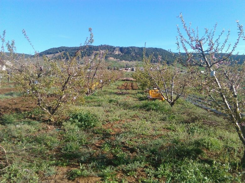 Agroturismo Les Jardins D'azrou