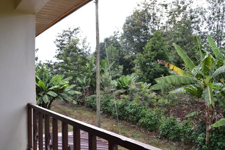 Countryside Villa