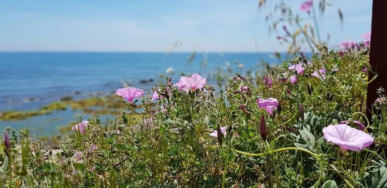 Apartamentos Exquisite Calahonda Beach Studio
