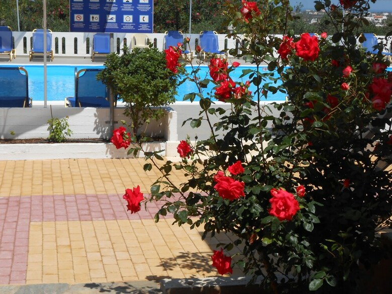 Aparthotel Michalis Villas