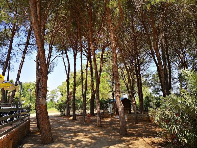 Camping Fico D'india
