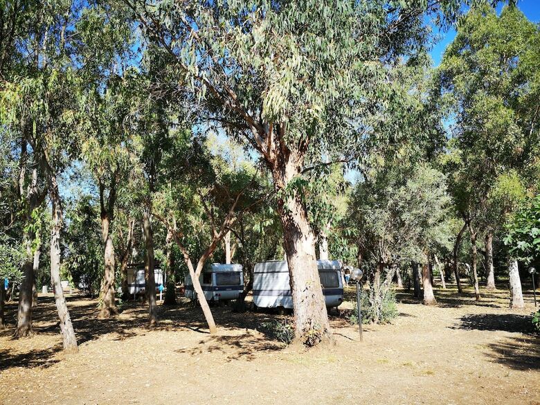 Camping Fico D'india