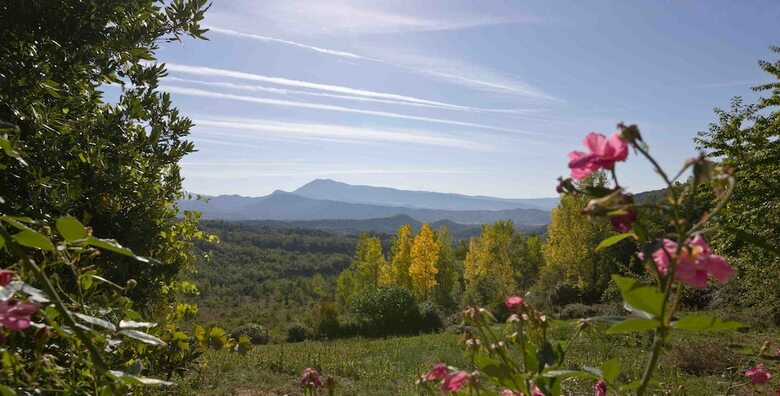 Apartamentos Casa Rural Molini�s