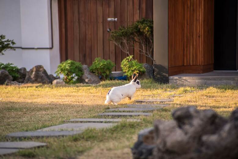 Pension Aewol Bada Town House