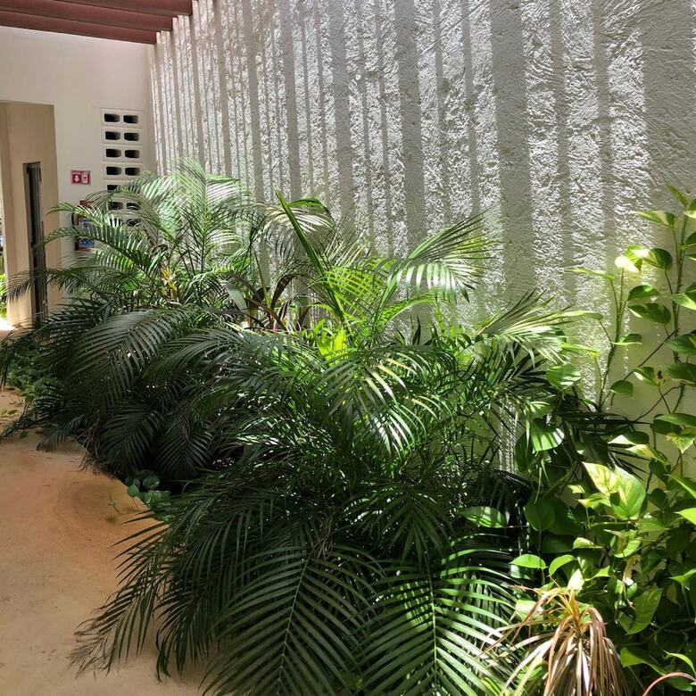 Apartamentos Downtown Suites Cancun