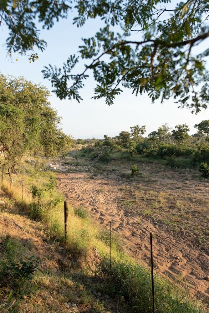Posada Nyala Safari Lodge