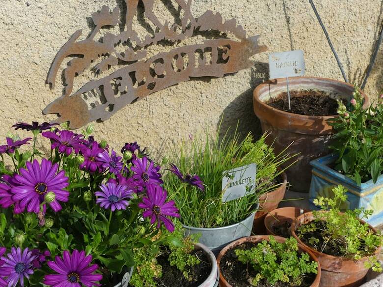 Bed & Breakfast Villa Aigues Vives