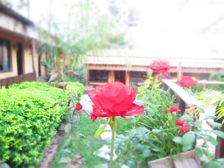 Bed & Breakfast Nkanhe Lodge