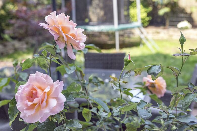 Pretty In Kew Gardens
