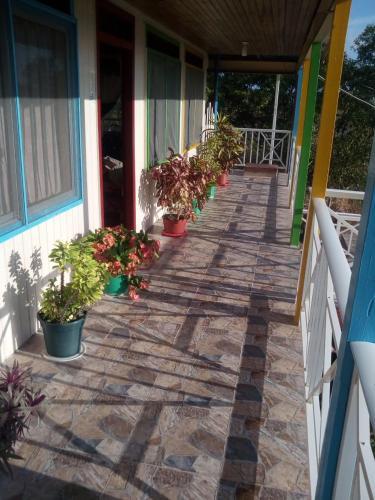 Hostal Posada Mcbean