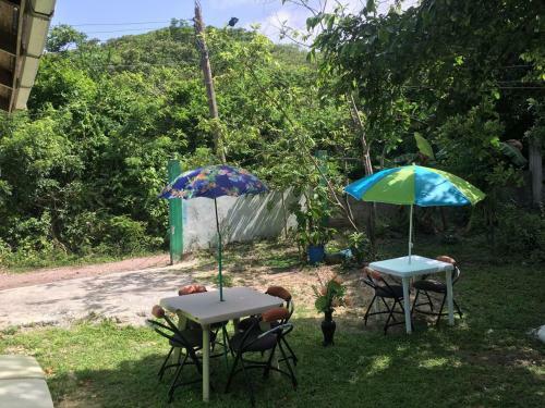 Hostal Posada Spring View