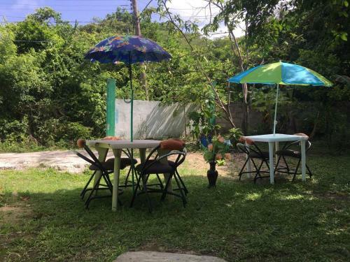 Hostal Posada Spring View