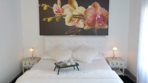 Alto De La Palma Hotel Boutique