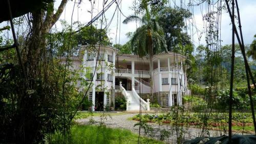 Alto De La Palma Hotel Boutique