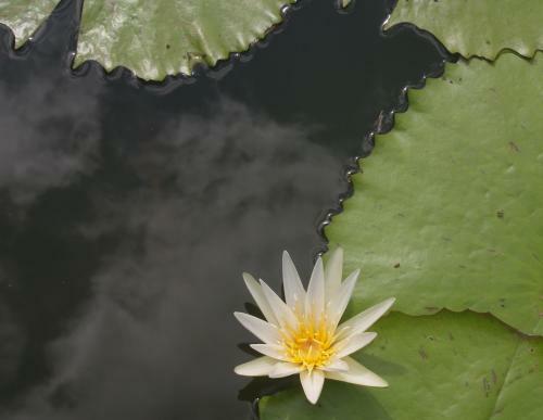 Aite Hotel