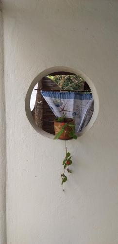 Hostal Jaguar Azul Palomino
