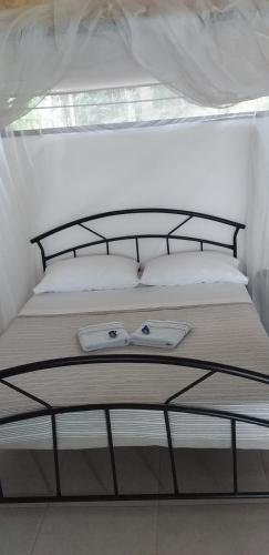 Hostal Jaguar Azul Palomino