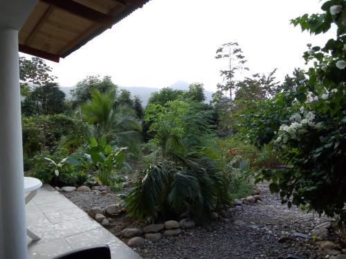 Hostal Jaguar Azul Palomino