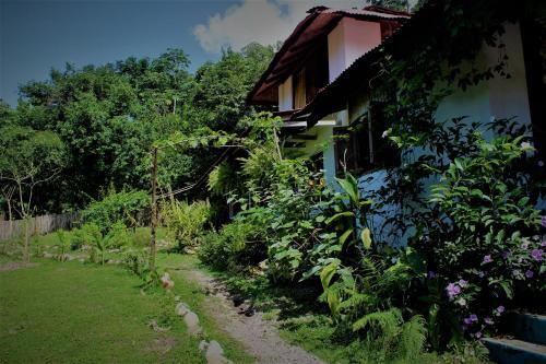 Hostal Jaguar Azul Palomino
