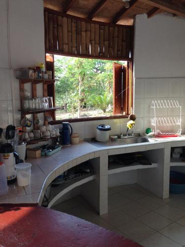 Hostal Jaguar Azul Palomino