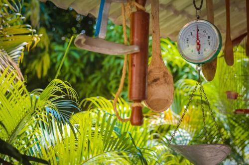 Bed & Breakfast Hotel San Basilio De Palenque