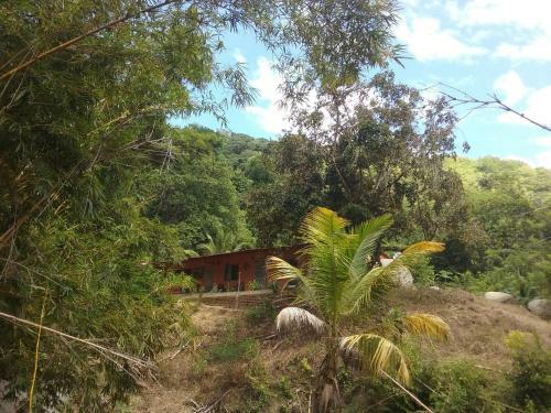 Hostel Finca La Gordita