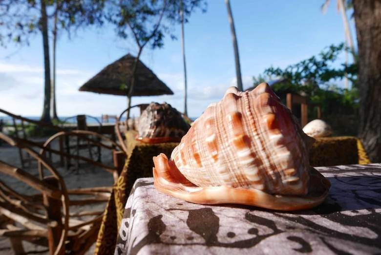 Hotel Afro Beach Bungalows