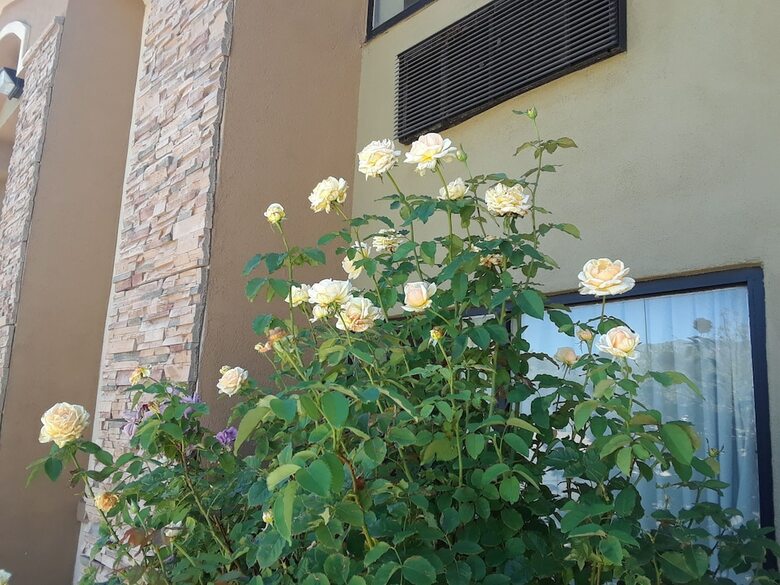 Hotel Amerstone Inn & Event Center