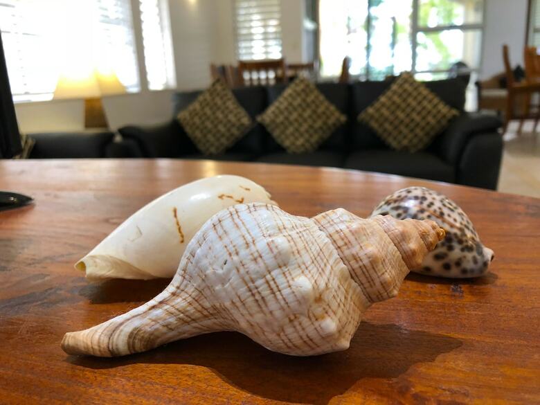 Apartamentos Villa Beach Palm Cove