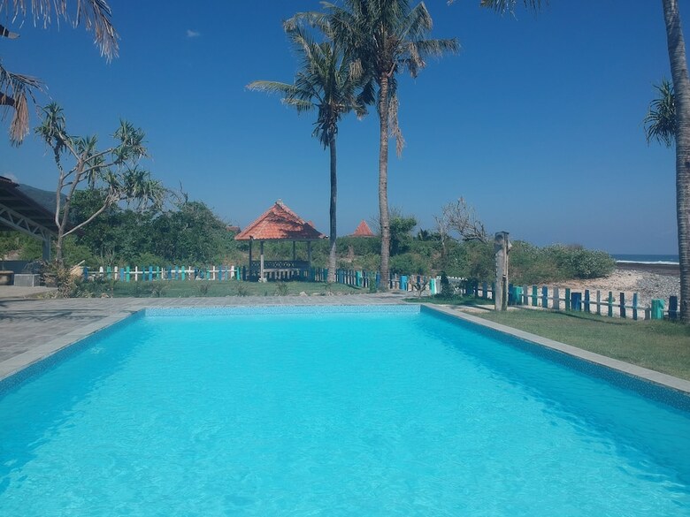 Hostal The Tree House Sumbawa - Hostel