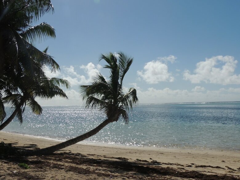 Aparthotel Reef Holiday Apartments