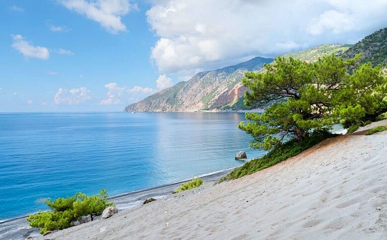 Apartamentos Island Suites