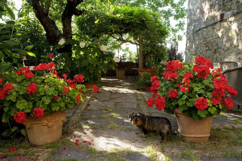 Bed & Breakfast Palazzo Malaspina