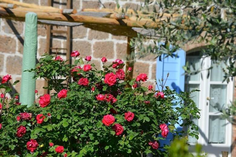 Agroturismo Podere Delle Rose